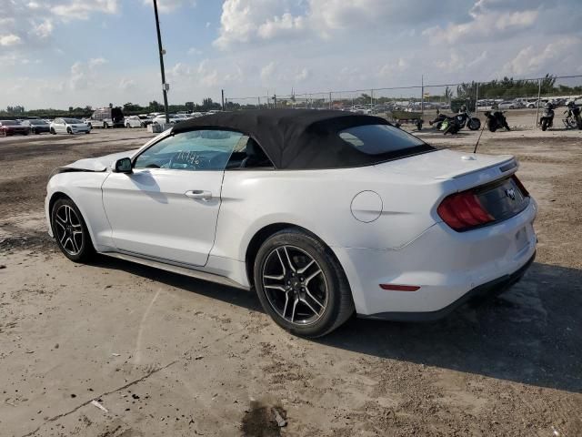 2019 Ford Mustang