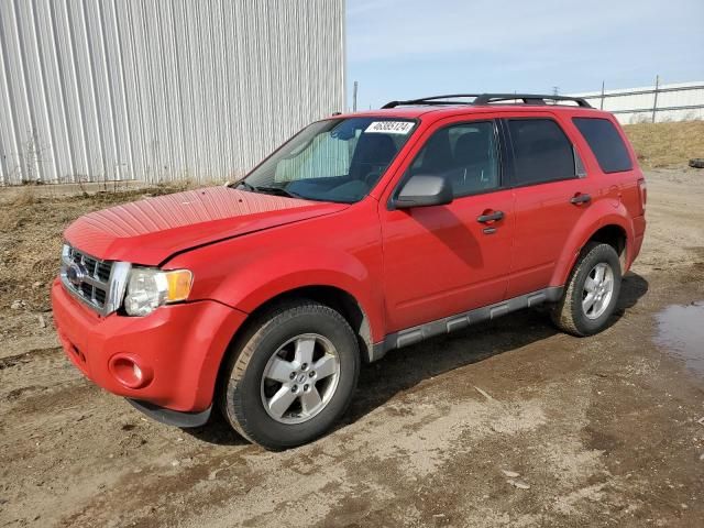 2009 Ford Escape XLT