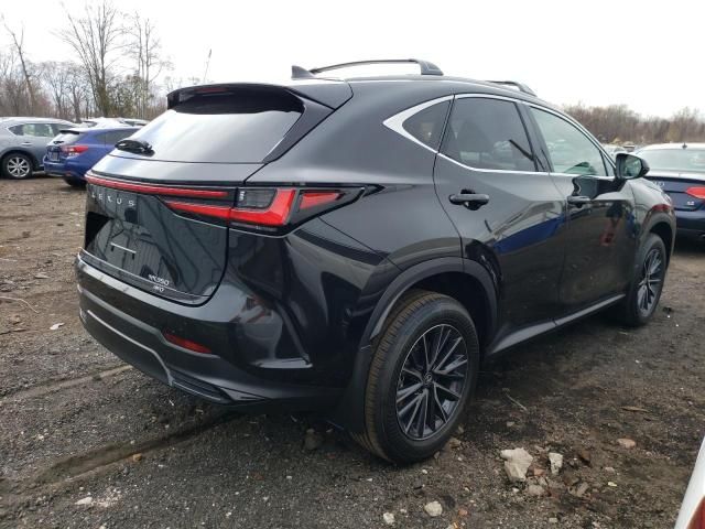 2024 Lexus NX 350 Base