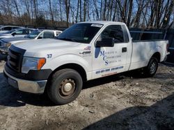 Salvage cars for sale at Candia, NH auction: 2013 Ford F150