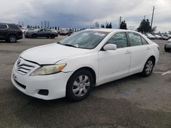 Salvage cars for sale from Copart Rancho Cucamonga, CA: 2010 Toyota Camry Base