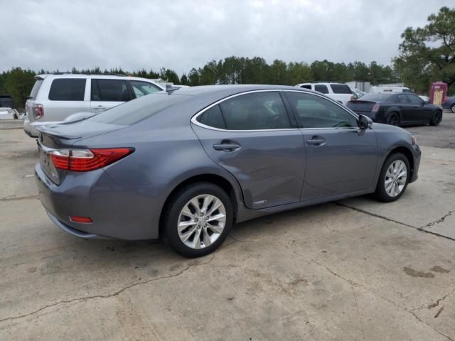 2013 Lexus ES 300H