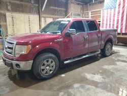 Salvage cars for sale from Copart Rapid City, SD: 2013 Ford F150 Supercrew
