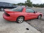 1998 Pontiac Firebird