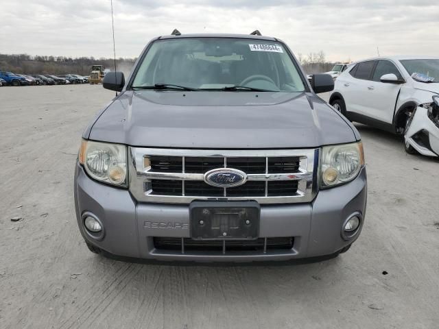 2008 Ford Escape XLT