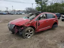 Salvage cars for sale from Copart Lexington, KY: 2011 Toyota Venza