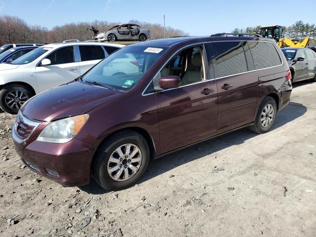 2010 Honda Odyssey EXL