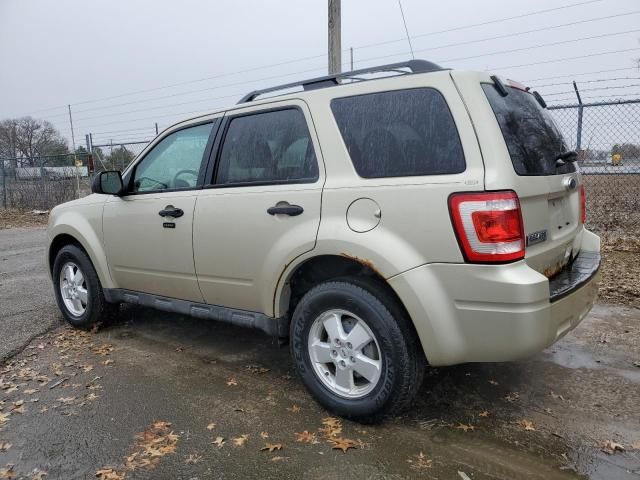 2011 Ford Escape XLT