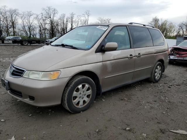 2004 Honda Odyssey EXL