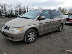 Salvage cars for sale at Baltimore, MD auction: 2004 Honda Odyssey EXL