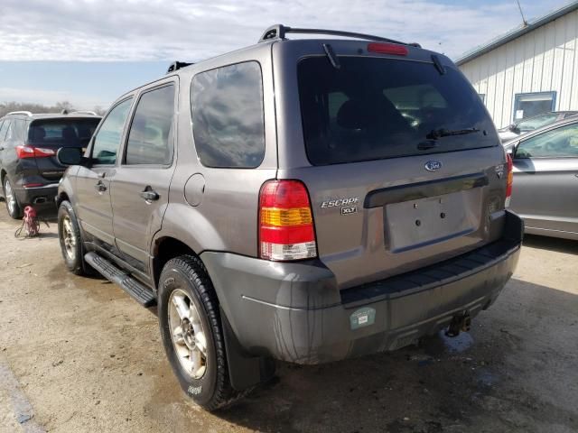 2005 Ford Escape XLT