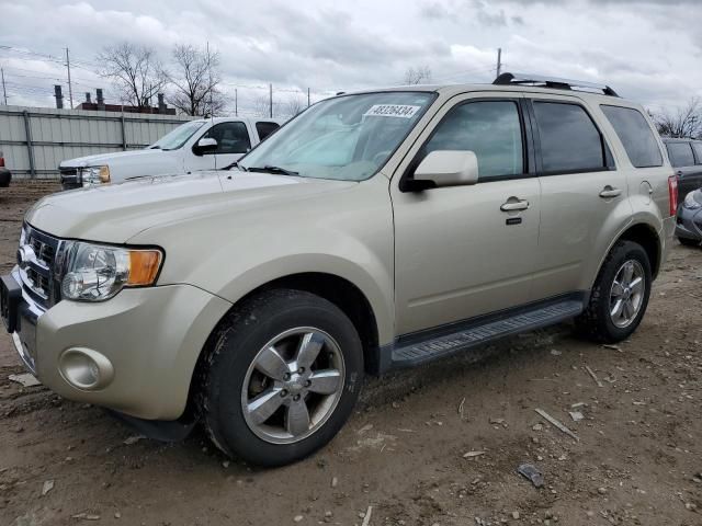 2011 Ford Escape Limited