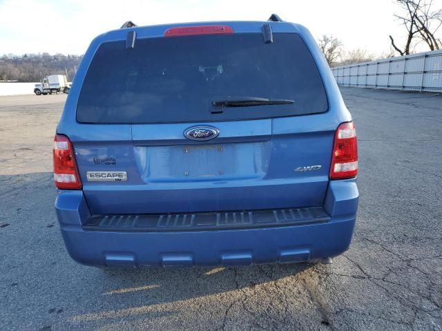 2009 Ford Escape XLT