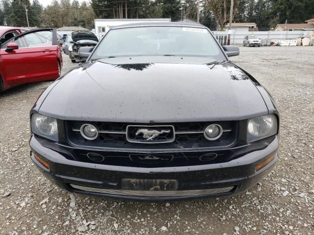 2006 Ford Mustang