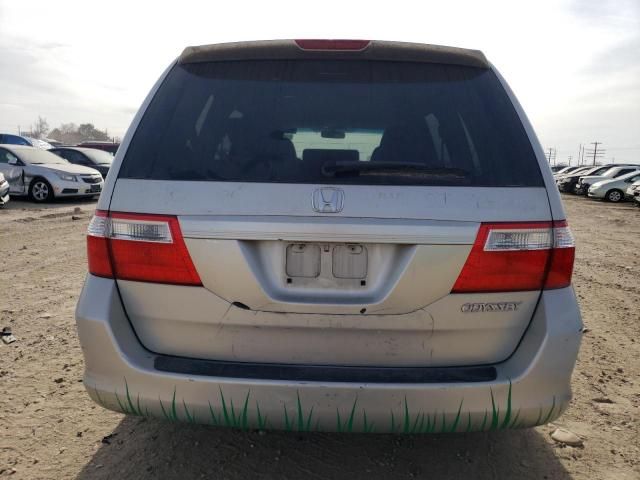 2005 Honda Odyssey EX