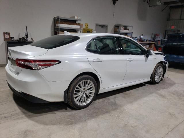 2019 Toyota Camry Hybrid