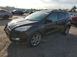 Salvage cars for sale at Houston, TX auction: 2014 Ford Escape SE