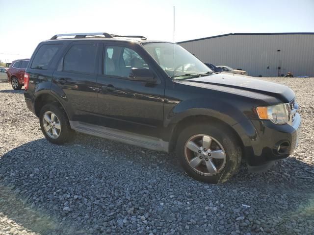 2012 Ford Escape Limited