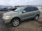 2009 Hyundai Santa FE SE