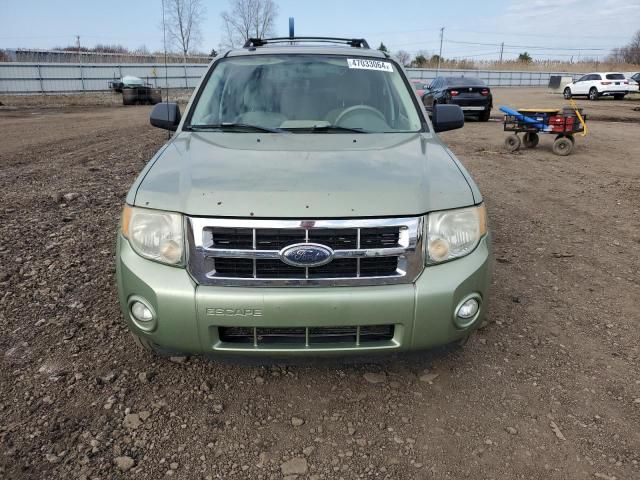 2008 Ford Escape XLT