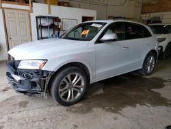 Salvage cars for sale at Ham Lake, MN auction: 2016 Audi SQ5 Premium Plus