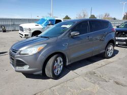 Ford Escape SEL Vehiculos salvage en venta: 2013 Ford Escape SEL