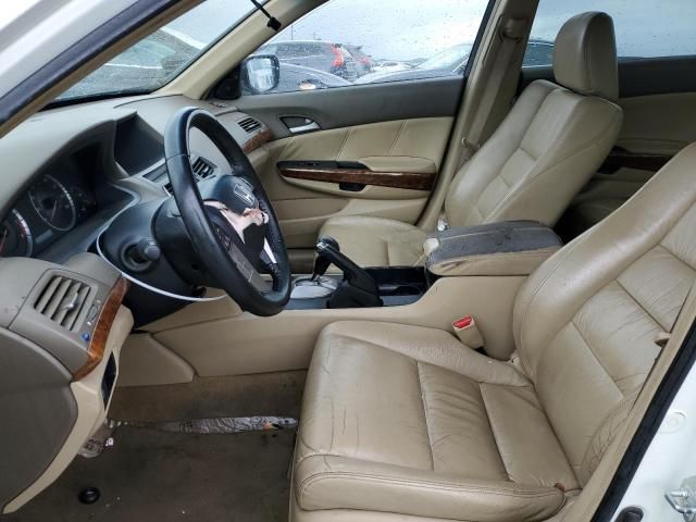 2008 Honda Accord EXL