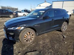 Salvage cars for sale from Copart Windsor, NJ: 2023 Jaguar F-PACE S