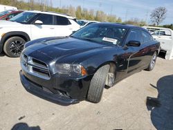 Salvage cars for sale at Bridgeton, MO auction: 2013 Dodge Charger R/T