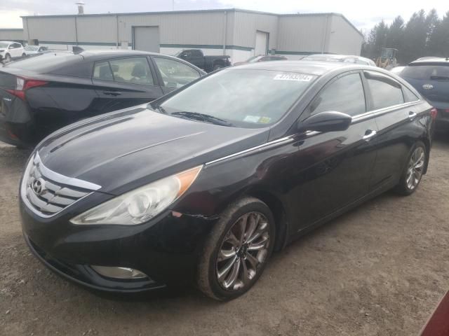 2011 Hyundai Sonata SE