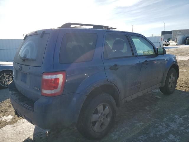 2008 Ford Escape XLT