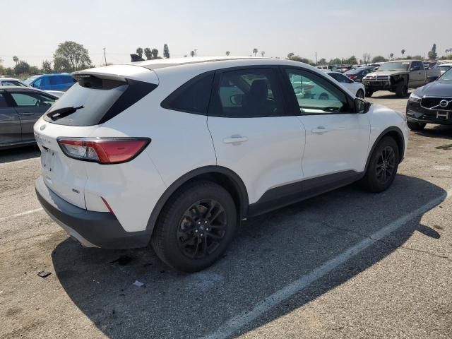 2020 Ford Escape SE Sport