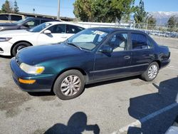 Toyota Corolla DX salvage cars for sale: 1997 Toyota Corolla DX