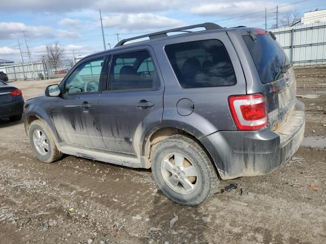 2010 Ford Escape XLT