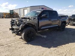 Salvage cars for sale at Amarillo, TX auction: 2024 Toyota Tundra Crewmax SR