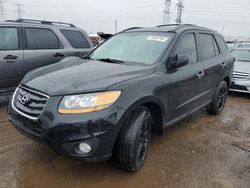 Salvage trucks for sale at Elgin, IL auction: 2011 Hyundai Santa FE Limited