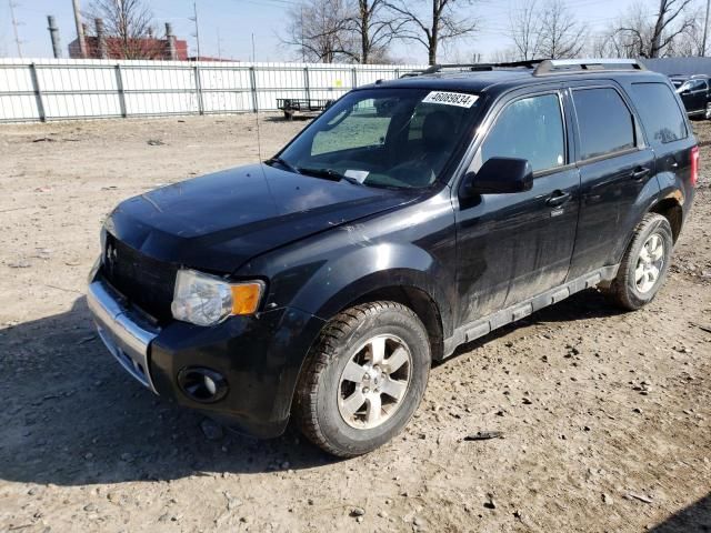 2010 Ford Escape Limited