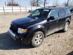 Salvage cars for sale at Lansing, MI auction: 2010 Ford Escape Limited