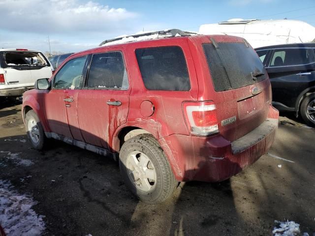 2009 Ford Escape XLT