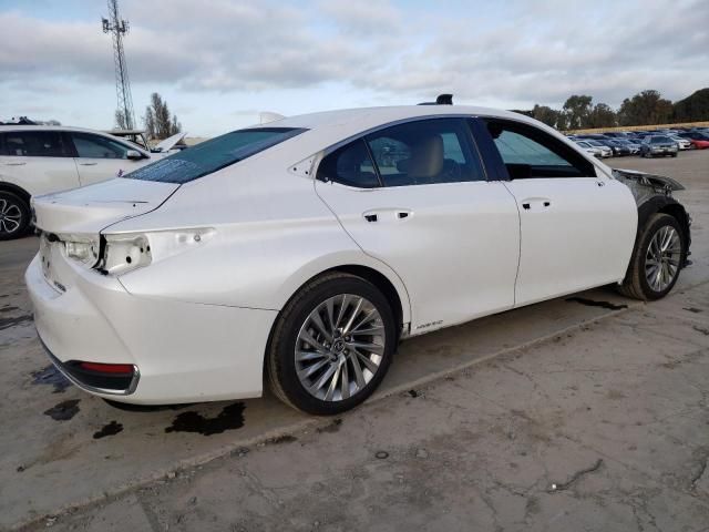 2019 Lexus ES 300H