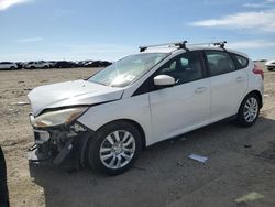 Salvage cars for sale at Earlington, KY auction: 2012 Ford Focus SE