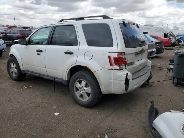 2011 Ford Escape XLT