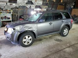 Salvage cars for sale at Albany, NY auction: 2011 Ford Escape XLT