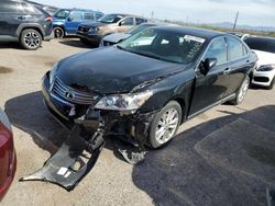 Salvage cars for sale from Copart Tucson, AZ: 2011 Lexus ES 350