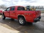 2007 Dodge Dakota Quattro