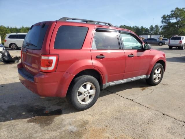 2012 Ford Escape XLS