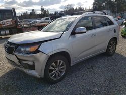 KIA Sorento salvage cars for sale: 2013 KIA Sorento SX