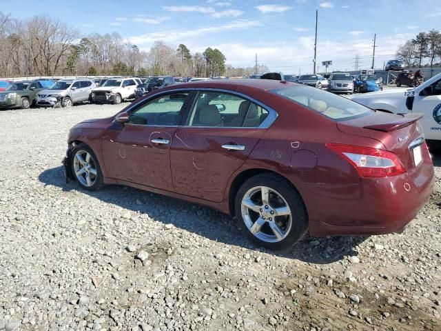 2010 Nissan Maxima S