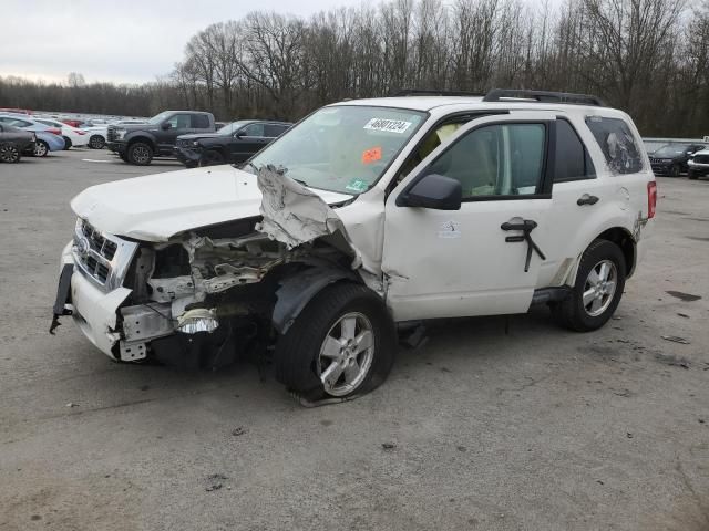 2010 Ford Escape XLT