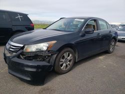 Honda Accord SE Vehiculos salvage en venta: 2012 Honda Accord SE